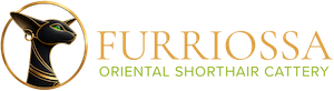 furriossa cattery website logo web