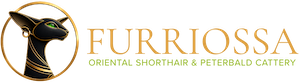 Furriossa Cattery Logo