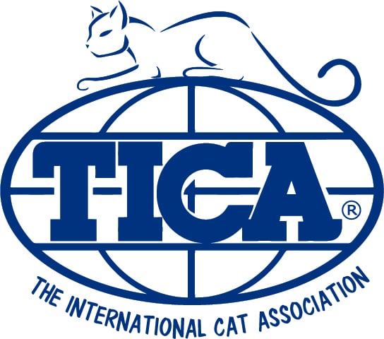 TICA-ogo